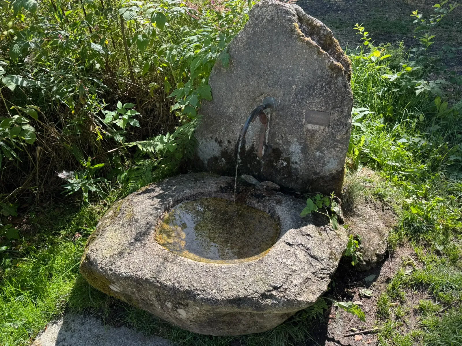 fuente