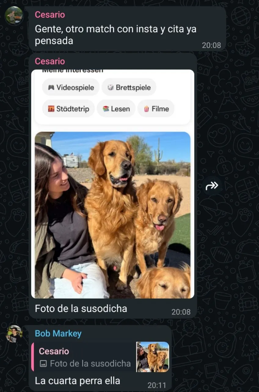 cuarta perra
